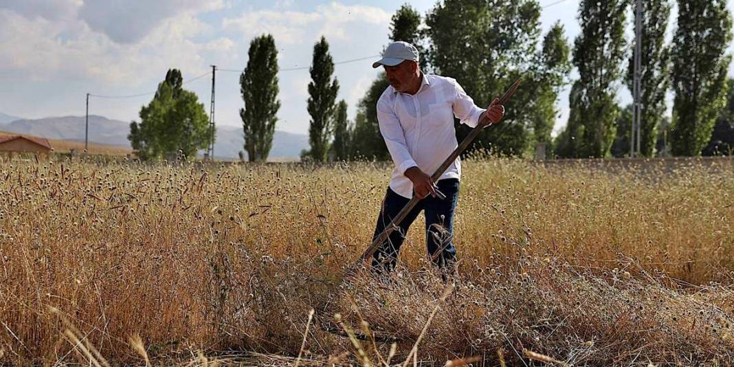 O köyde zaman durdu: Sanat ve tarihin eşsiz buluşması! 1